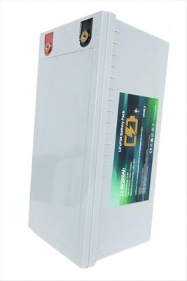 Batteria al litio antideflagrante LifeP04 200AH con BMS integrato