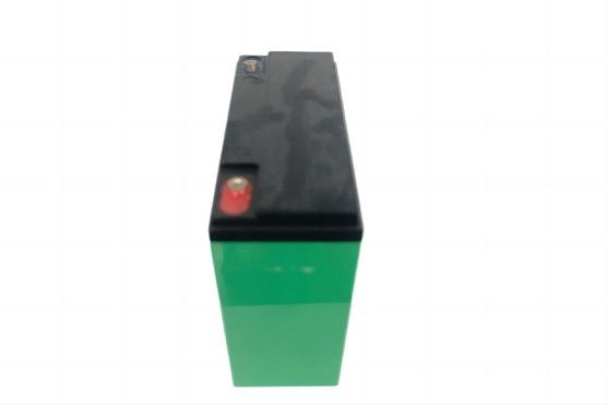 Inquinamento multiuso impermeabile di BMS Lithium Phosphate Battery libero