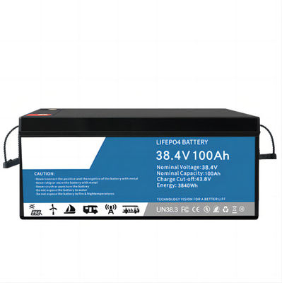 0.2C che scarica la batteria al litio LifeP04 100ah multifunzionale per il backup del data center