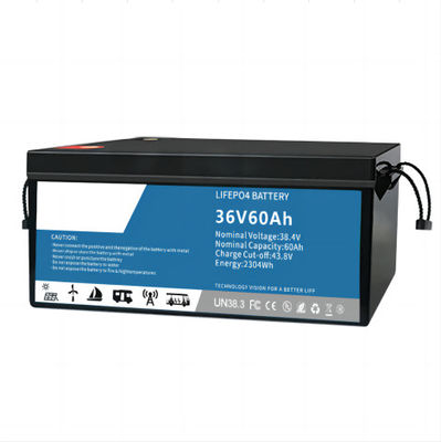 La batteria IP55 del fosfato del ferro del litio di Multiscene EV impermeabilizza con BMS