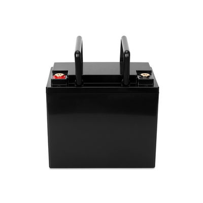 Più grande batteria antipolvere BYD 2560WH di Lifepo4 Ebike con Matt Black Shell