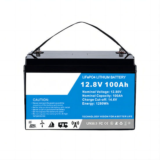 Litio Ion Battery 100A di alto potere Lifep04 con la bici di BMS For RV/Electric